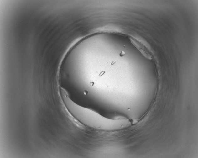 X0000064731248200602241706