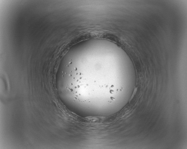 X0000064731249200602241705