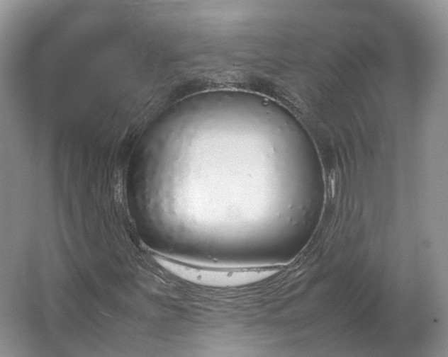 X0000064731251200602241705