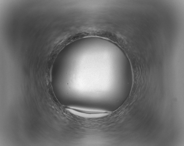 X0000064731253200602241705