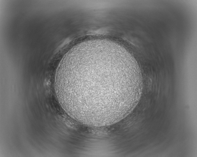 X0000064731254200602241704