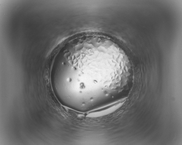 X0000064731255200602241704