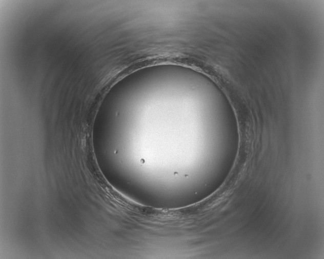 X0000064731257200602241704