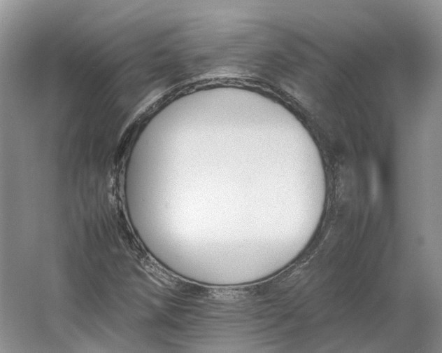 X0000064731258200602241704