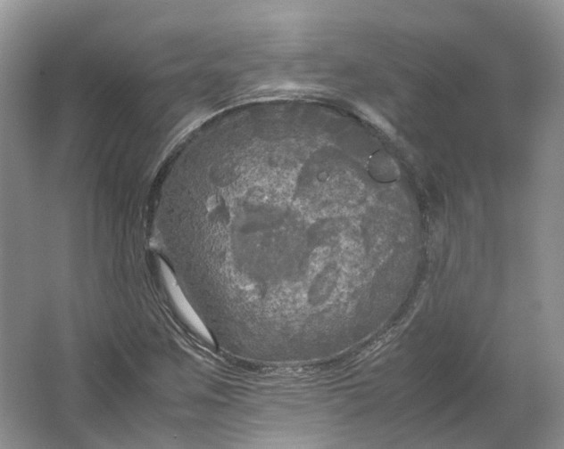 X0000064731259200602241704