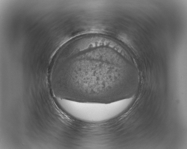 X0000064731260200602241704