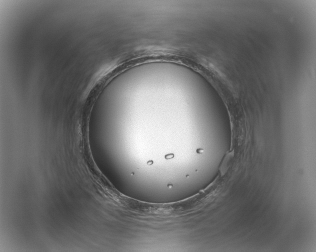 X0000064731261200602241704