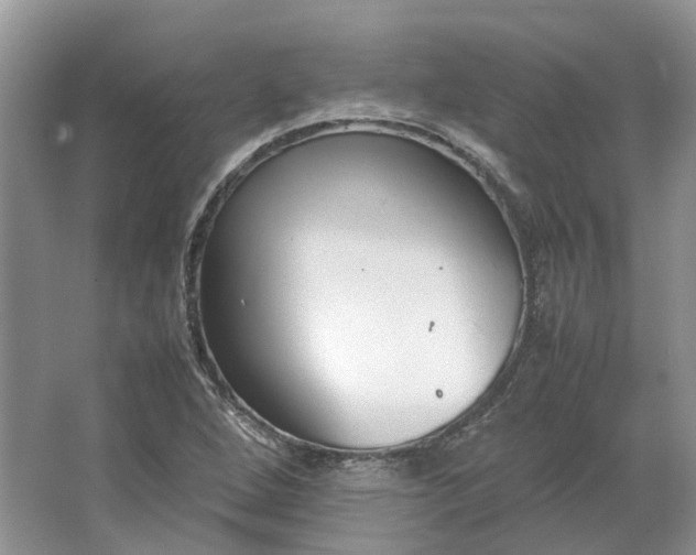 X0000064731264200602241704