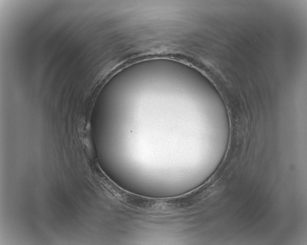 X0000064731265200602241704