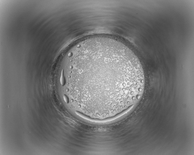 X0000064731266200602241704