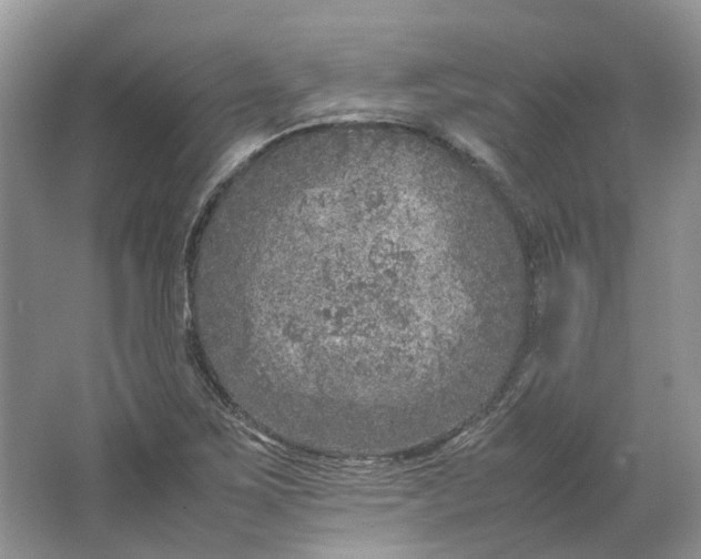 X0000064731267200602241704