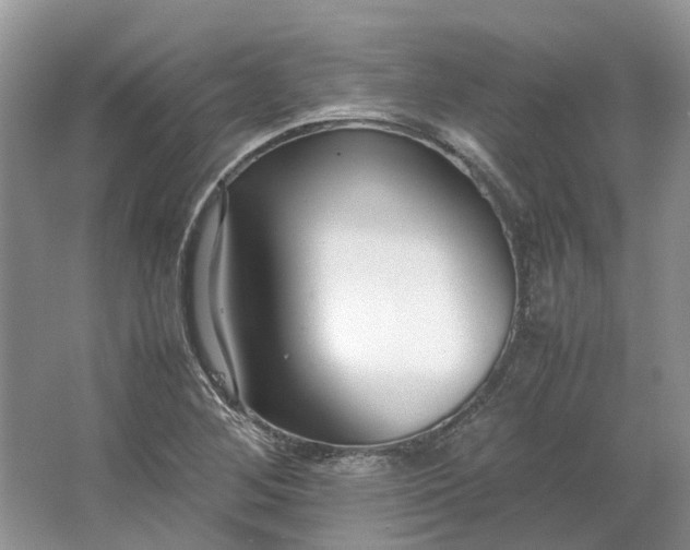 X0000064731268200602241704