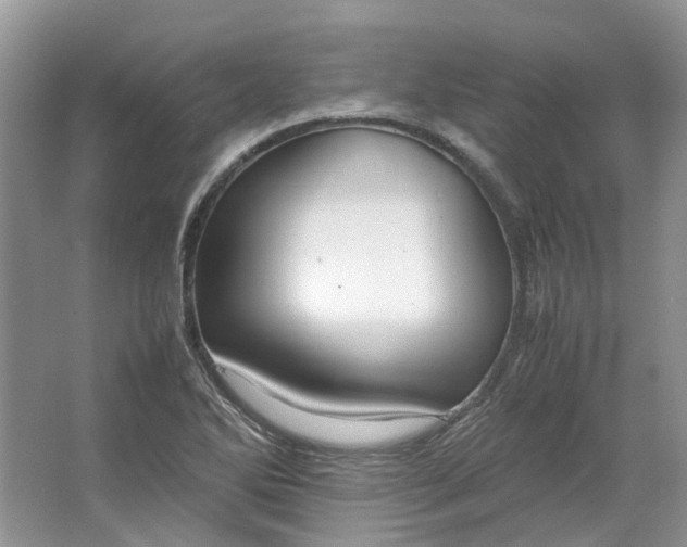 X0000064731270200602241704