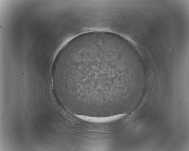 X0000064731271200602241704