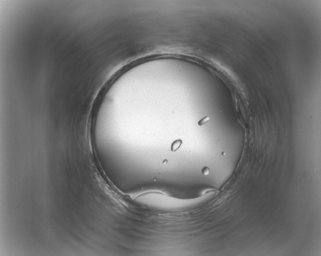 X0000064731272200602241704