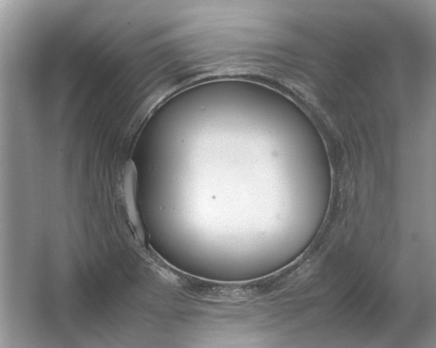 X0000064731273200602241704