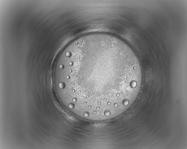 X0000064731274200602241704