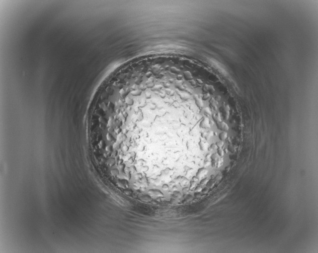 X0000064731275200602241704