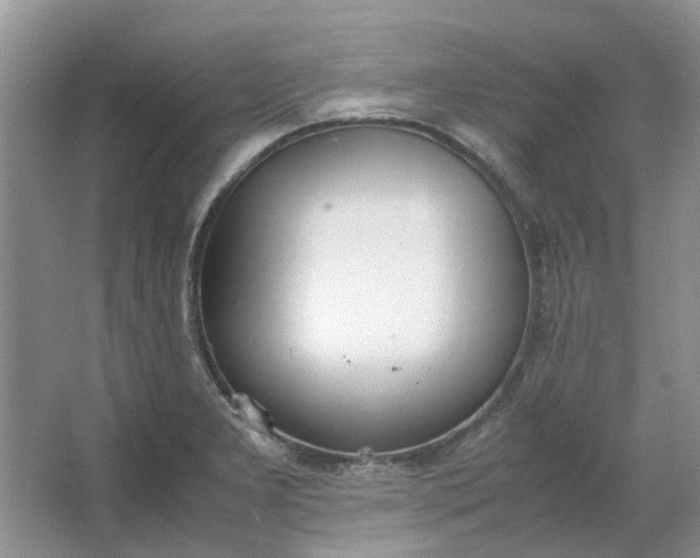 X0000064731277200602241704