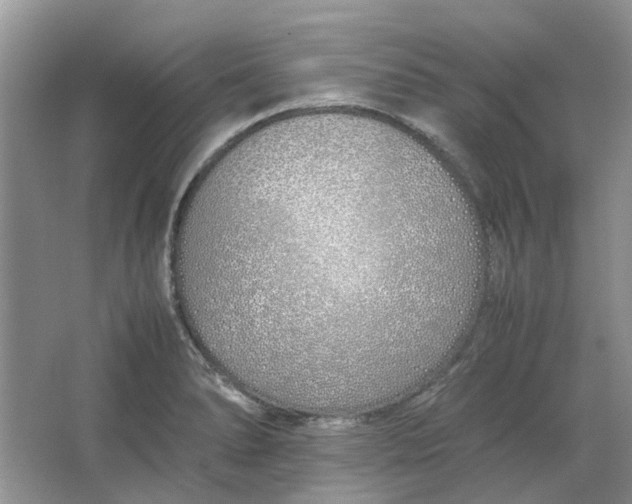 X0000064731278200602241704