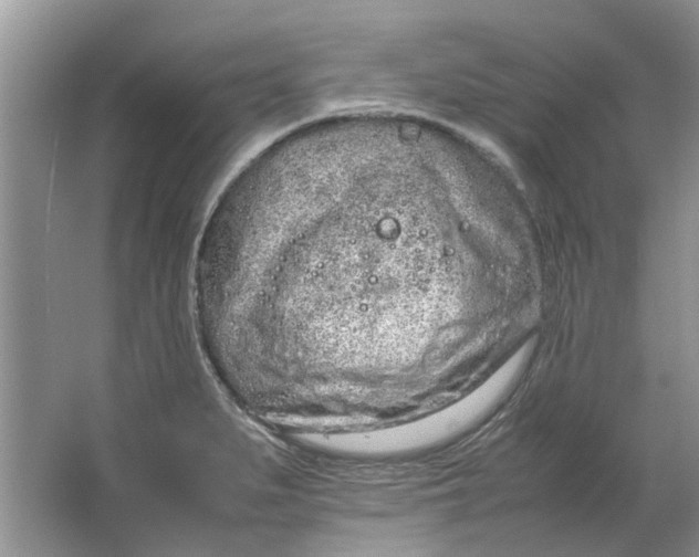 X0000064731279200602241704