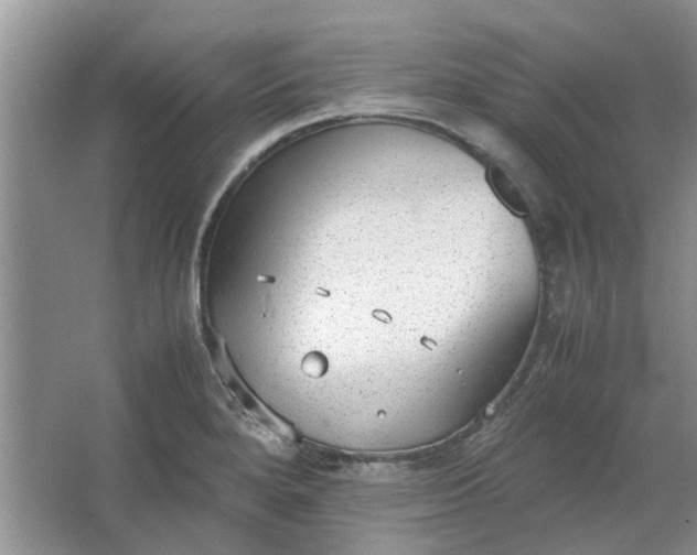 X0000064731280200602241704