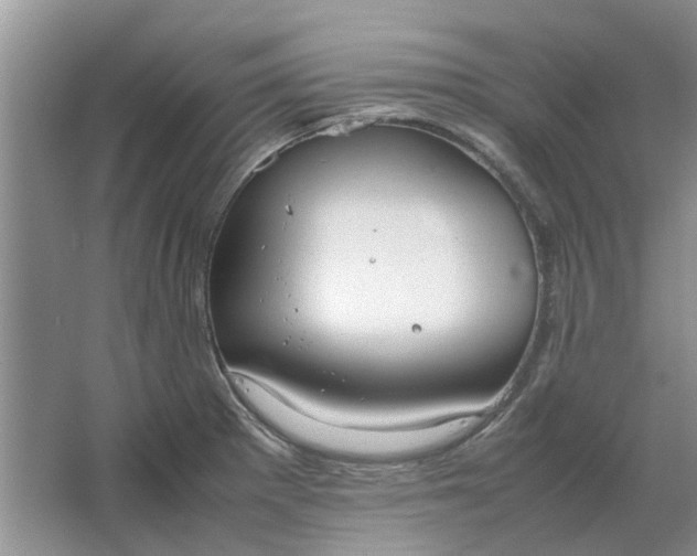 X0000064731281200602241704