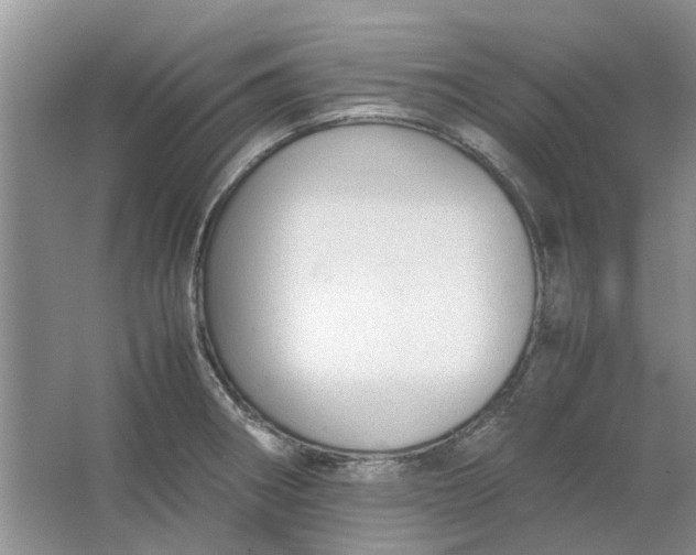 X0000064731282200602241704