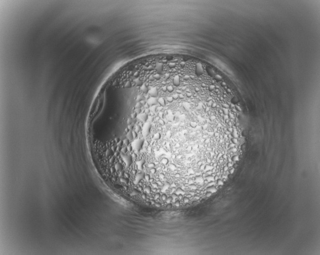 X0000064731283200602241704