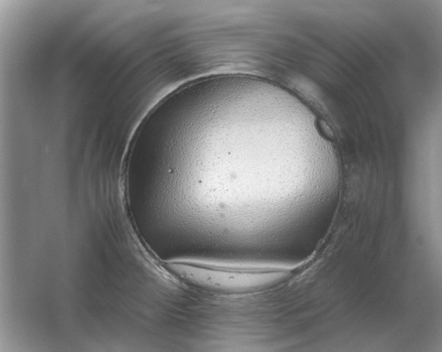 X0000064731284200602241704