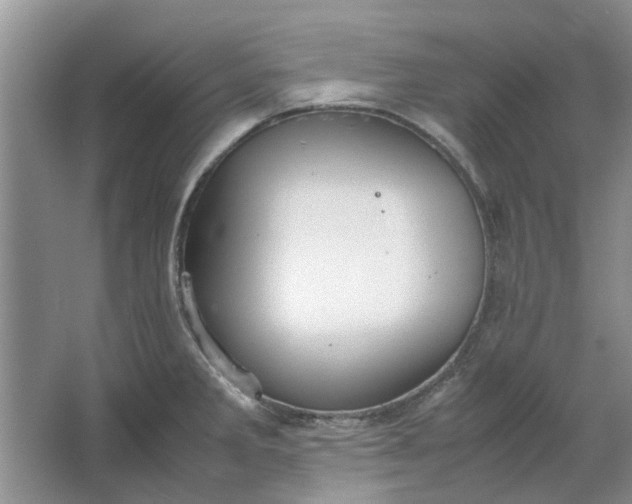 X0000064731285200602241704