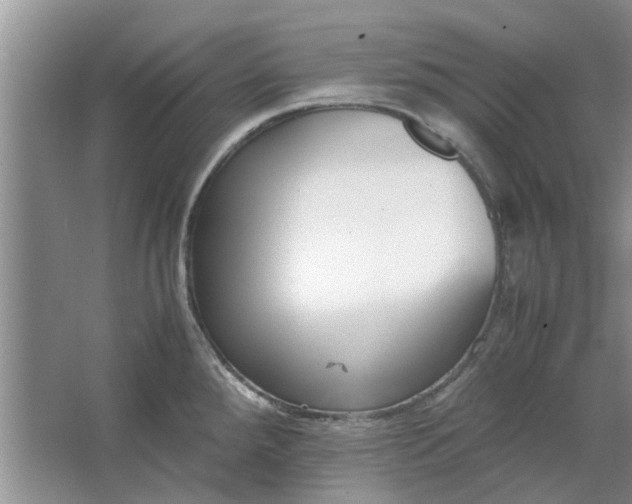 X0000064731288200602241704