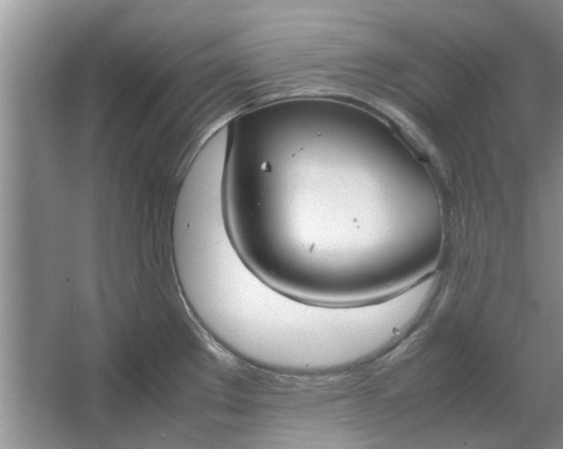 X0000064731289200602241704