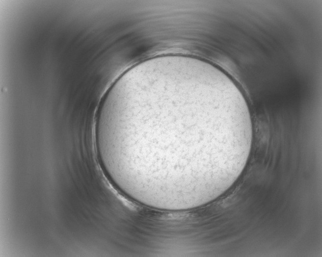 X0000064731290200602241704