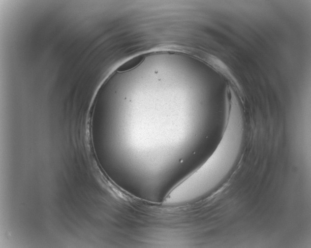 X0000064731292200602241704