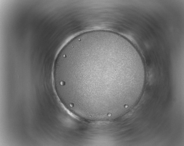 X0000064731294200602241703