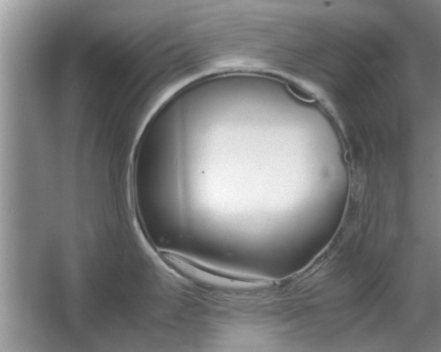 X0000064731295200602241703