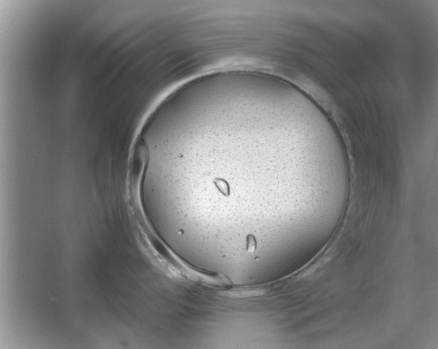 X0000064731296200602241703