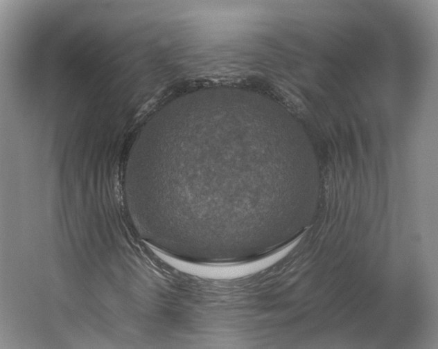 X0000064731298200602241702