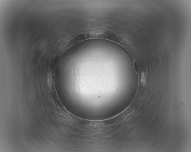 X0000064731299200602241702