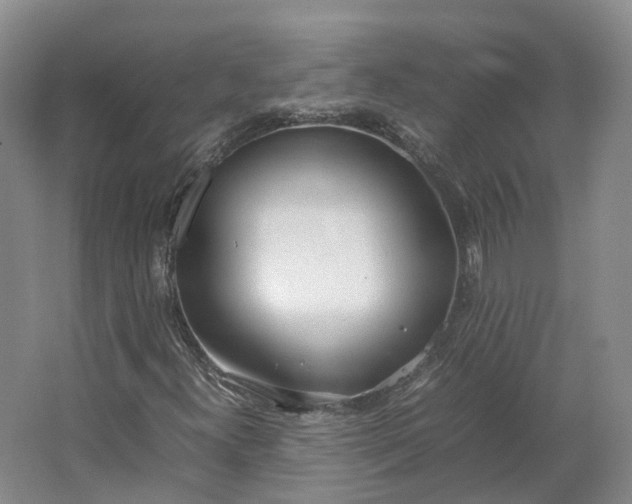 X0000064731300200602241702