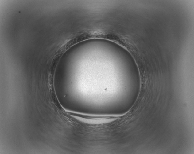 X0000064731301200602241702