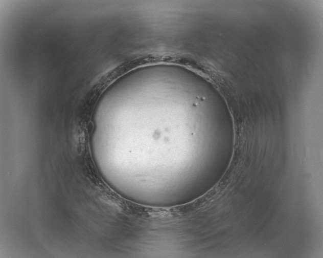 X0000064731302200602241702