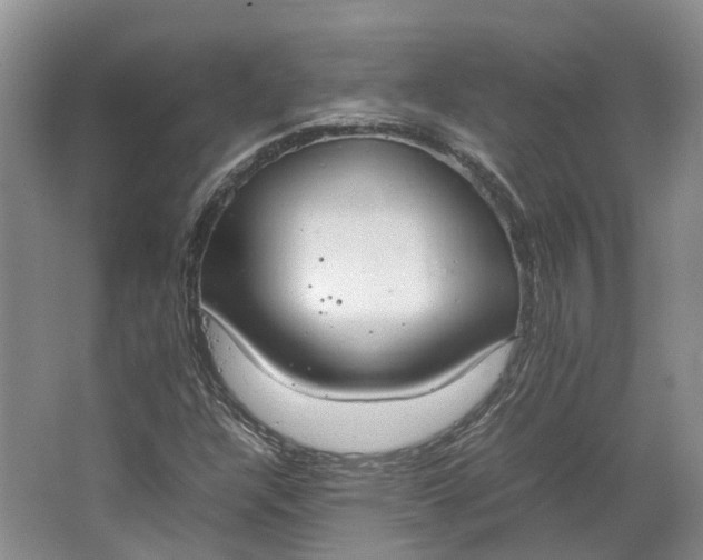 X0000064731304200602241702