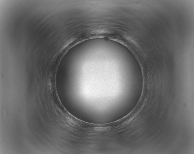 X0000064731305200602241702