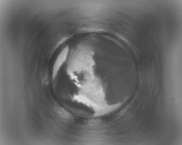 X0000064731306200602241702