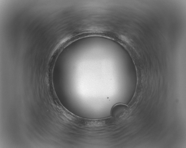 X0000064731307200602241702