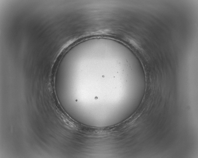 X0000064731308200602241702