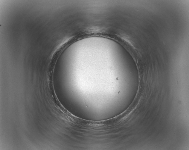 X0000064731309200602241702