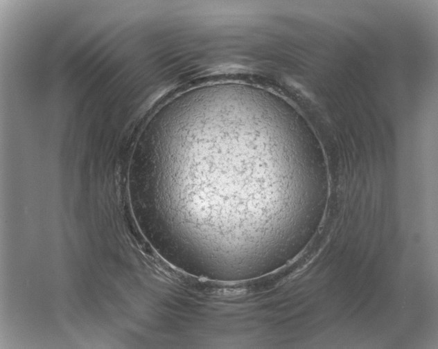 X0000064731313200602241703